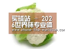 产品名称九