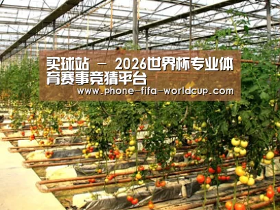 种植基地二