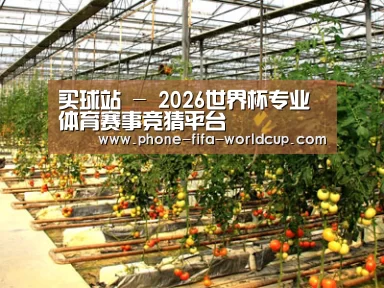 种植基地二(图1)