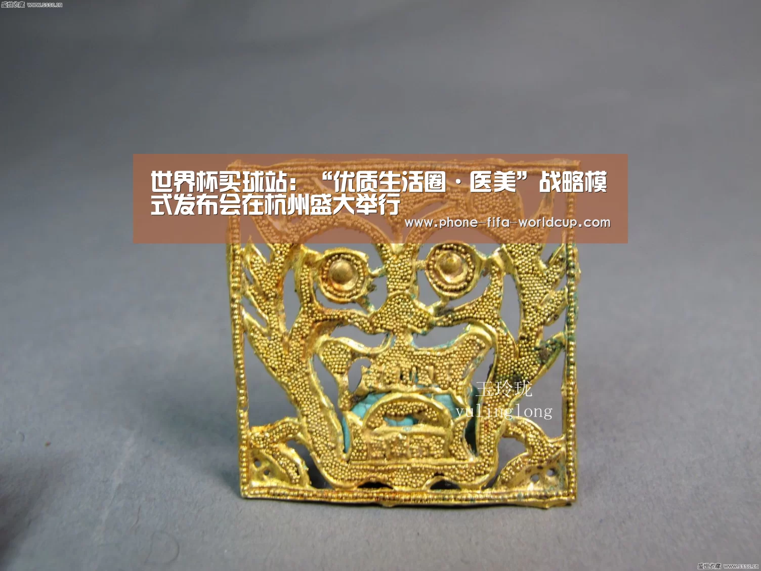 世界杯买球站:“优质生活圈·医美”战略模式发布会在杭州盛大举行(图2) 世界杯买球站